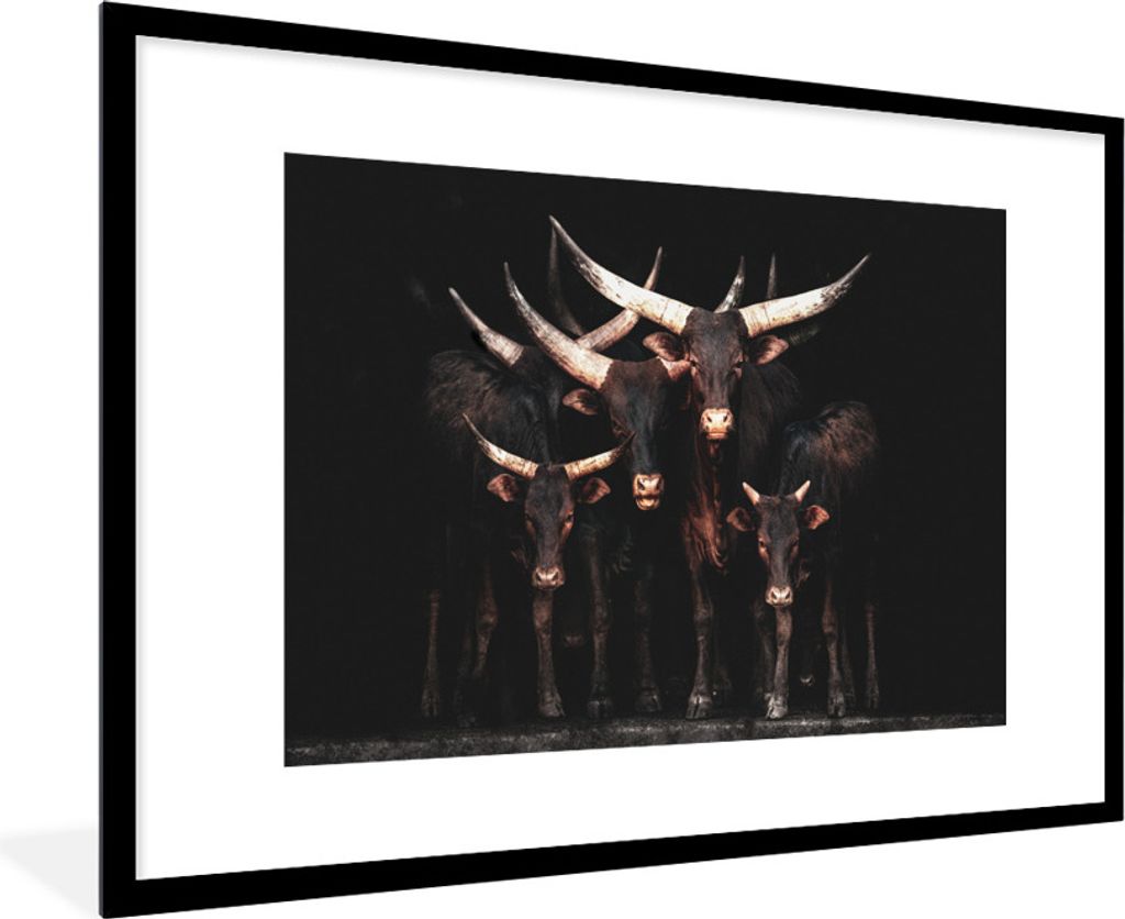 MuchoWow MuchoWow Gerahmtes Poster Kuh - Watussi - Schwarz - Hörner 90x60 cm - Poster mit zchwarzem Bilderrahmen - Wanddekoration - Fotos