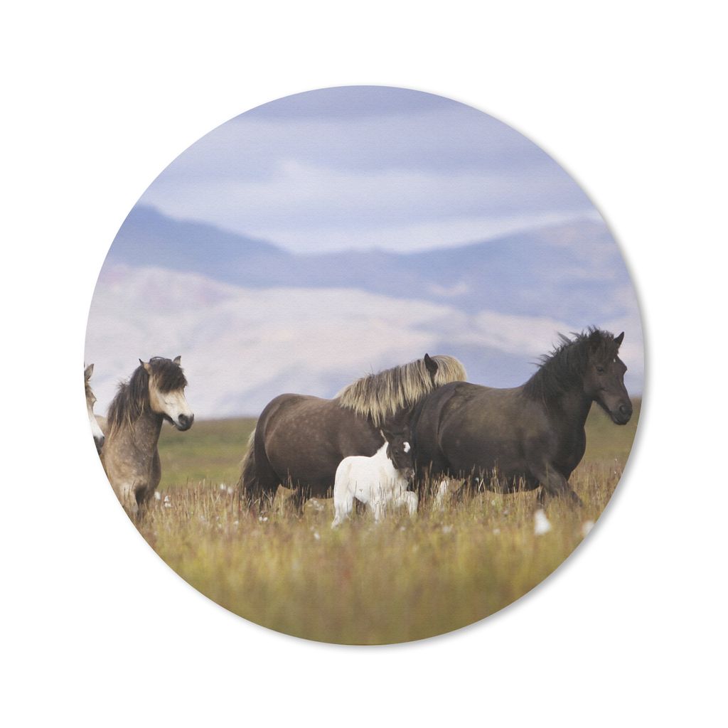 MuchoWow Mauspad Mousepad Pferde - Gras - Berge 50x50 cm - Mousepads - Maus Mat - Pad - Mausunterlage - Vinyl