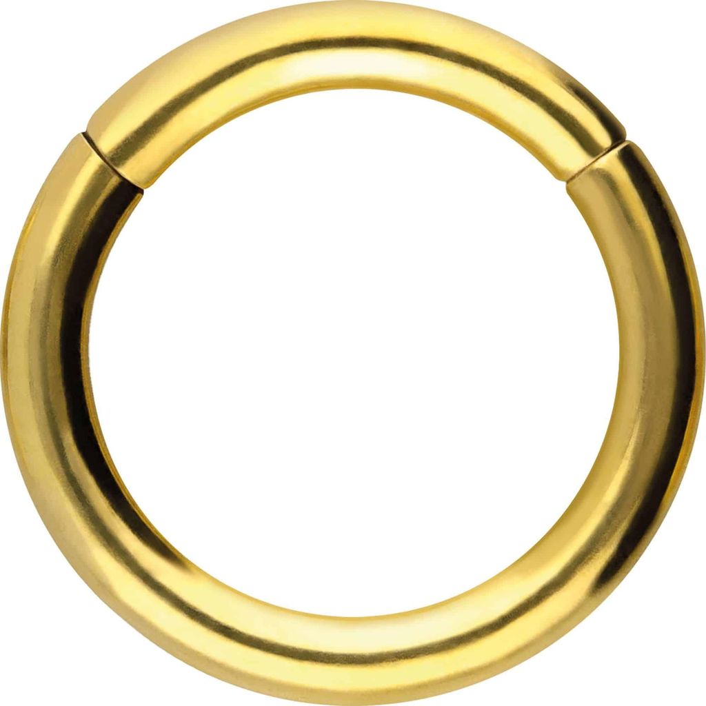 Ohrpiercing, Nasenpiercing, Septum Piercing Chirurgenstahl Segmentring Clicker Gold Innendurchmesser: 9mm + Stabstärke: 1,6mm