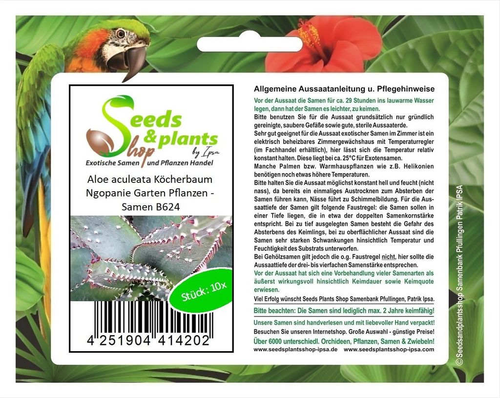 10x Aloe aculeata Köcherbaum Ngopanie Garten Pflanzen - Samen B624