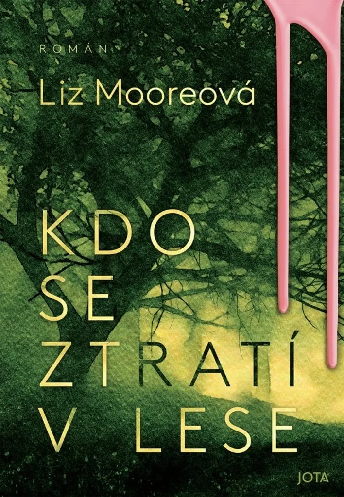 Kdo se ztratí v lese Liz Moore Roman Policier Thriller Nature Writing
