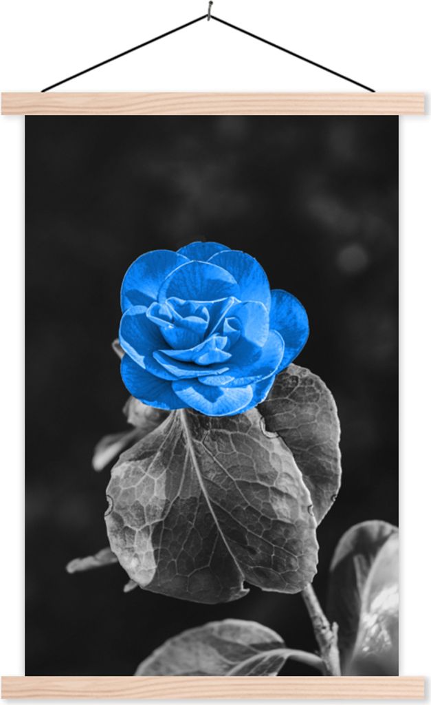 MuchoWow Textilposter Blumen - Rose - Schwarz - Weiß - Blau 120x180 cm mit holzfarbenen Rahmen - Textil-Plakat