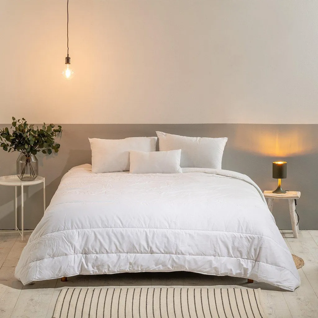 Dormez sans Punaises : Couette Chaude 240x260 cm Protection Active