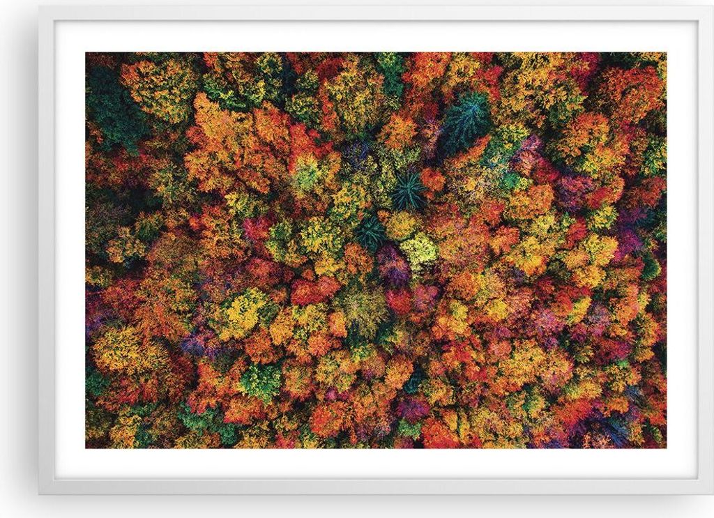 Gerahmtes Poster - Weißer Rahmen - Herbst Perspektive Vogel - 70x50 cm - Wand Bild - Wanddeko - Wandbilder - Kunstposter - Wandposter - Bilderrahm...