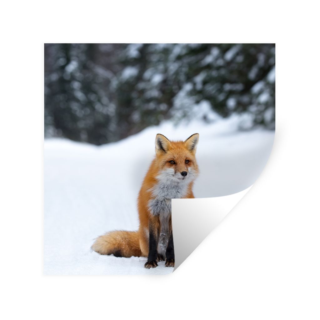 MuchoWow Wandtattoo Wandsticker Wandaufkleber Fuchs - Schnee - Wald 30x30 cm Selbstklebend und Repositionierbar - Repositionierbar - Wasser abwei...
