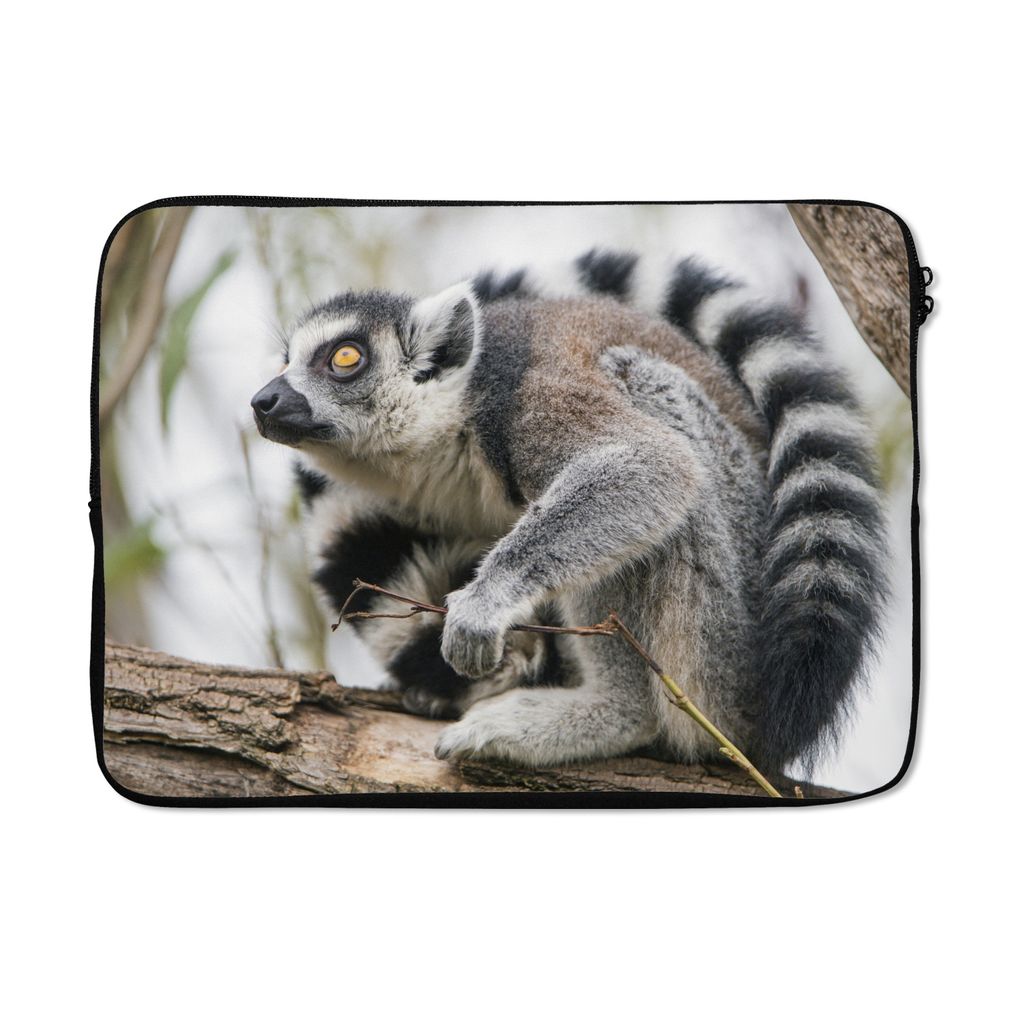 MuchoWow Laptop Hülle 13 Zoll Affe - Baum - Ringelschwanzlemur Laptoptasche - Laptophülle - Sleeve - Rundumschutz