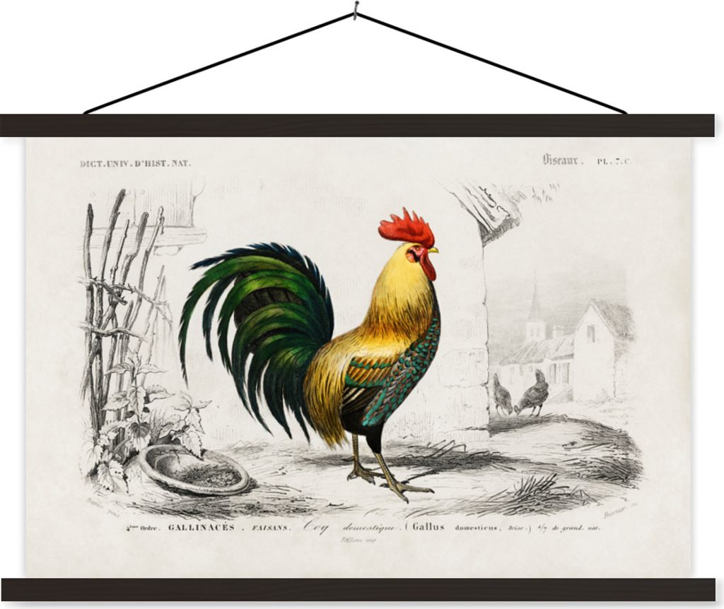 MuchoWow Textilposter Hahn - Vogel - Jahrgang 120x80 cm mit schwarzem Rahmen - Wanddeko