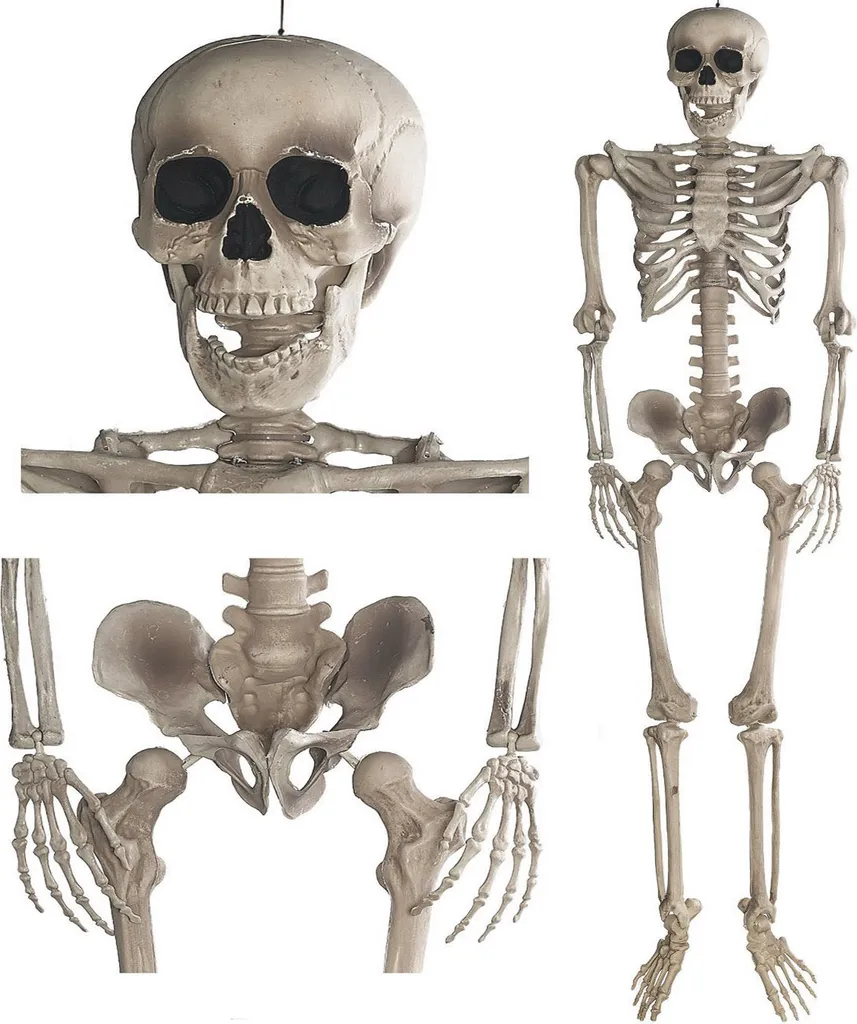Squelette de Décoration Halloween 160 cm - Corps Entier Articulé Réaliste