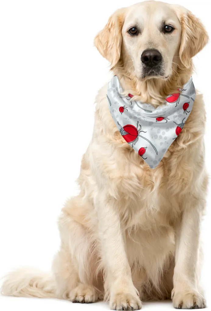 ABAKUHAUS Bandana Pet Design Floreale 40x40 - Alta Qualità Blu/Corallo