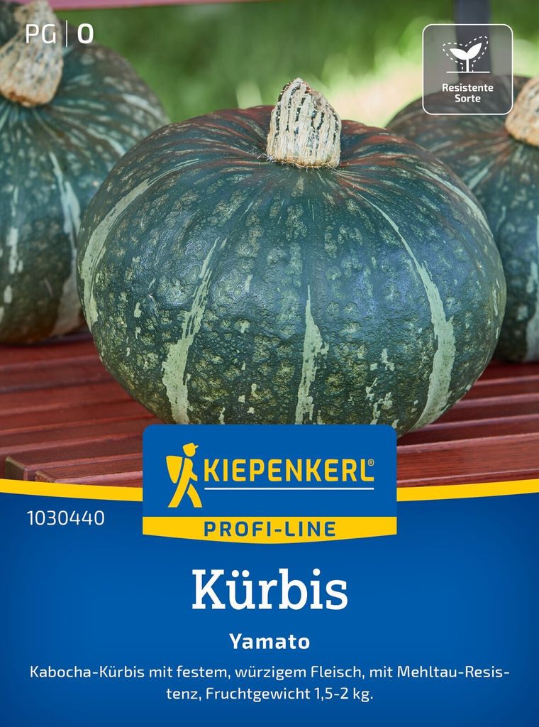 Kiepenkerl Kürbissamen Yamato F1 Cucurbita maxima 5 Produktbild 