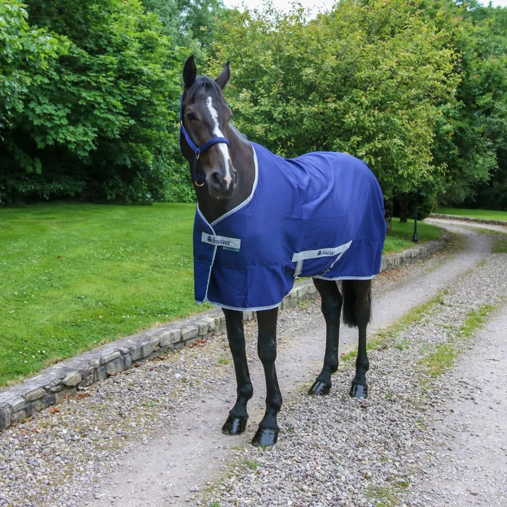 Bucas Freedom Twill Sheet Couverture Légère Navy pour Cheval 165 cm