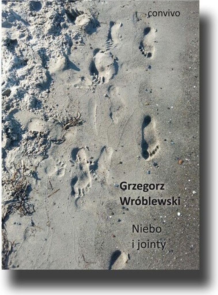 Niebo i jointy - Grzegorz Wróblewski (Buch auf Polnisch)