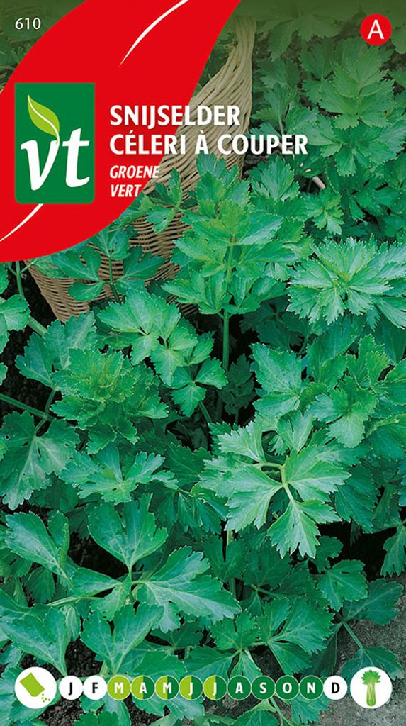 Zelené semená zeleru - cca 3 gr | VT_610 Obrázok produktu 
