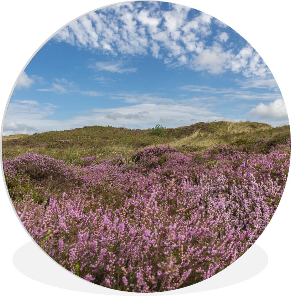 MuchoWow Rundes Wandbild - Runde Bilder Blühendes Heidekraut in den Dünen von Texel Ø 60 cm Kreis Wanddekoration Kunststoff - Wandkreis - Wand...