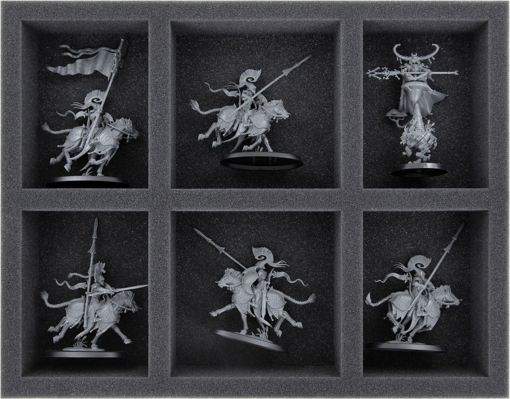 Schaumstoffeinlage für Lumineth Realm Lords mit 6 Fächern