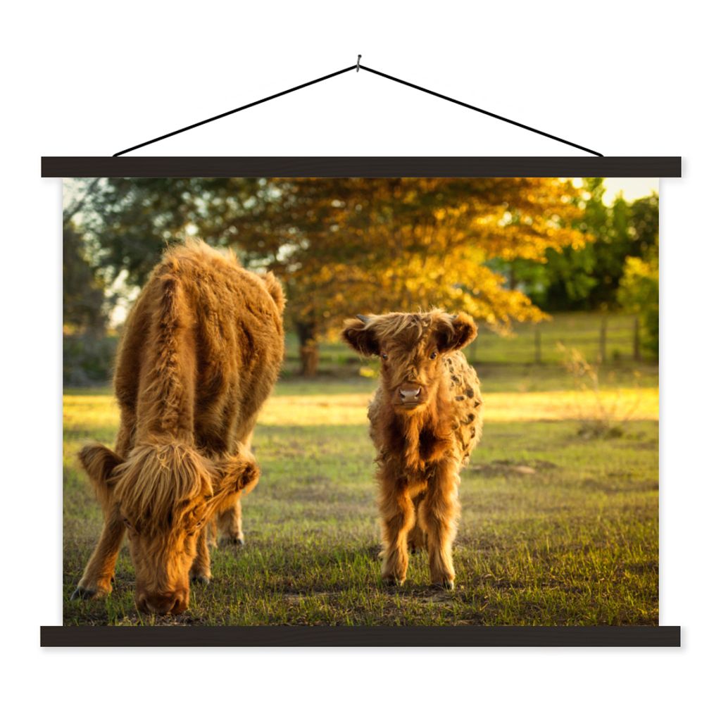 MuchoWow Textilposter Schottischer Highlander - Kalb - Herbst 120x90 cm mit schwarzem Rahmen - Aufhänger für Poster