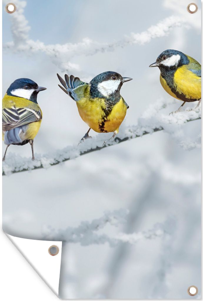MuchoWow 80x120 cm Outdoor-Poster Gartendeko Sichtschutz Garten Poster für den Garten Vogel - Kohlmeise - Winter - Schnee - Zweige