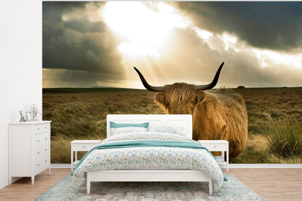 MuchoWow Fototapete für Wohnzimmer oder Schlafzimmer Wandtapete Vinyl Motivtapete Schottischer Hochländer - Sonne - Tiere - 295x220 cm - Wand T...