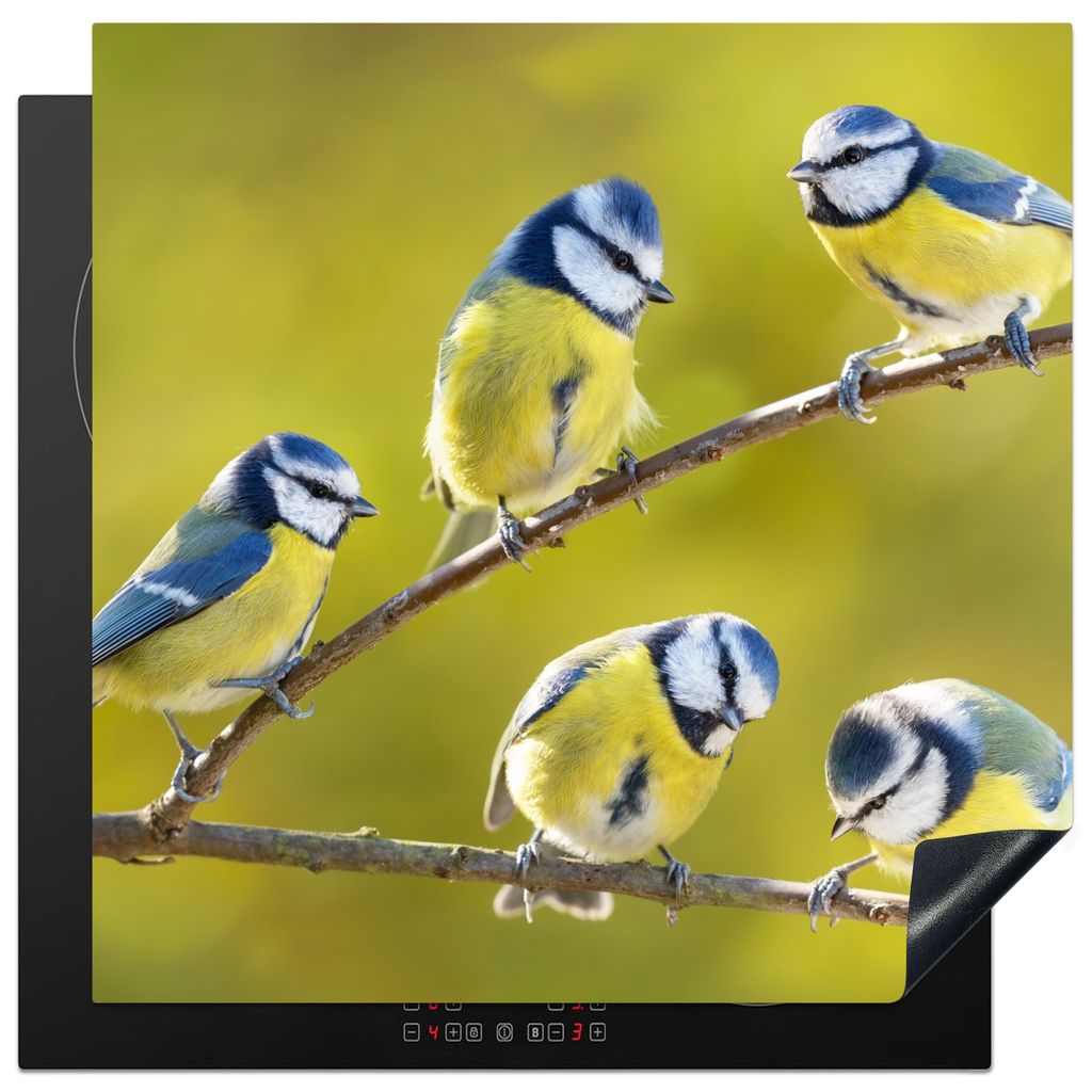 KitchenYeah Herdabdeckplatte Vogel - Blaumeise - Äste - Sonne , 78x78cm, Küche Deko, Glaskeramikkochfeld Herdabdeckung, Abdeckplatte fùr Kochfeld