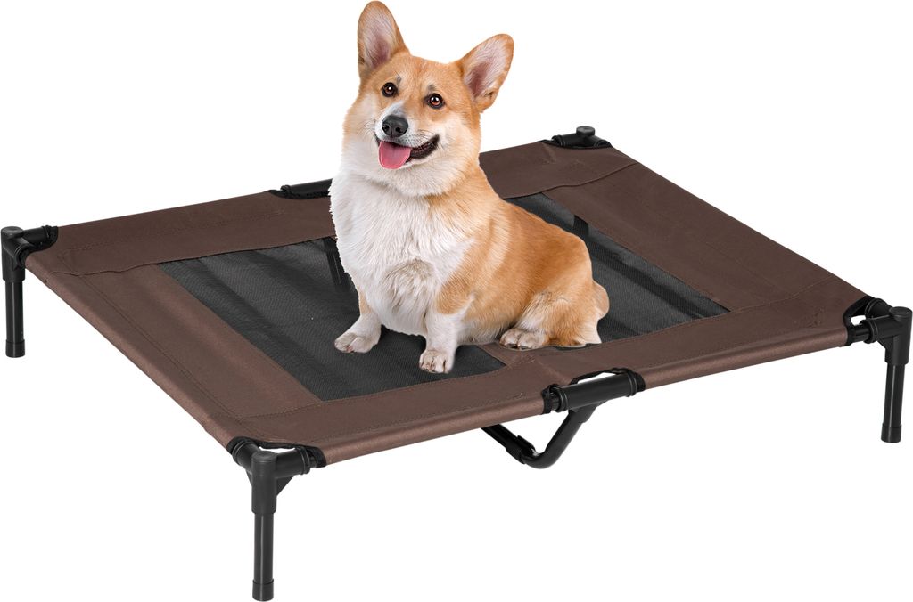 A corgi dog sitting on a brown and black elevated pet bed against a white background.
