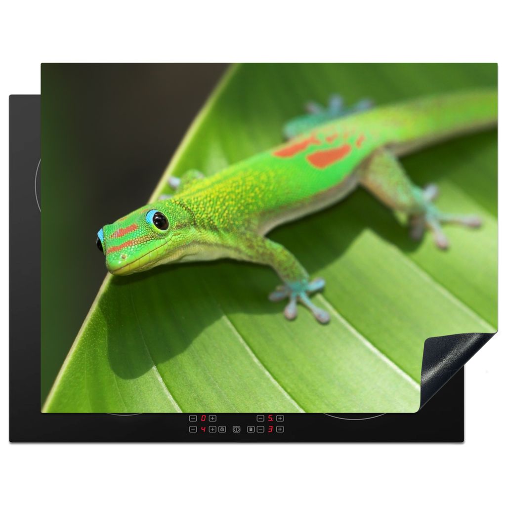 KitchenYeah Herdabdeckplatte Grüner Gecko auf einem Seerosenblatt , 77x59cm, Küche Deko, Glaskeramikkochfeld Herdabdeckung, Abdeckplatte fùr K...
