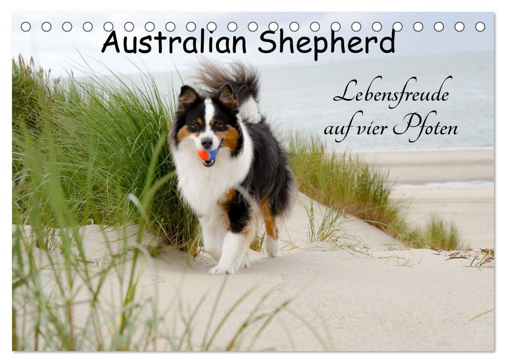 Australian Shepherd - Lebensfreude auf vier Pfoten (Tischkalender 2027 DIN A5 quer), CALVENDO Monatskalender
