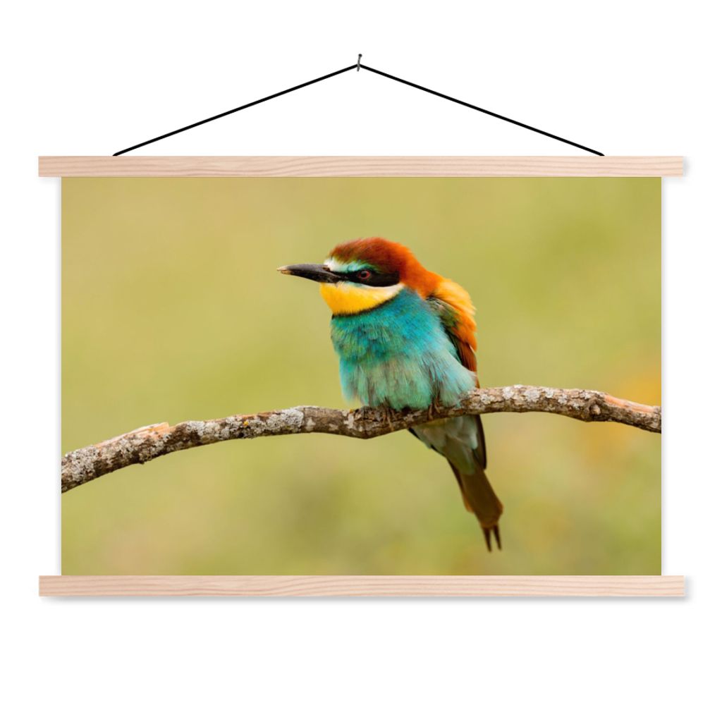 MuchoWow Textilposter Vogel - Bienenfresser - Tiere 120x80 cm mit holzfarbenen Rahmen - Aufhängeset