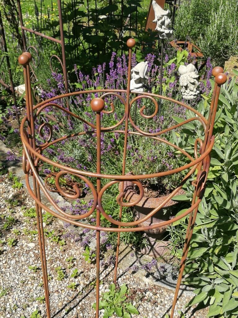 A metal plant stand in a garden setting with lavender and other plants in the background.