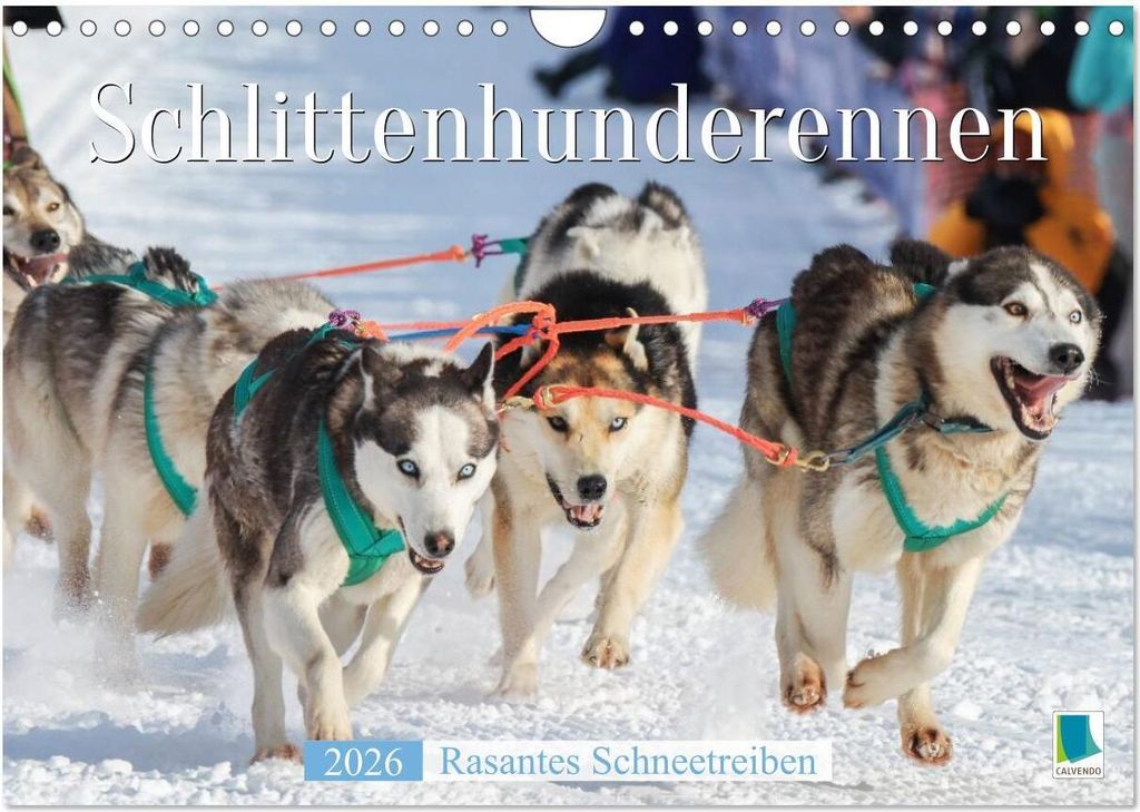Schlittenhunderennen: Rasantes Schneetreiben (Wandkalender 2026 DIN A4 quer), CALVENDO Monatskalender