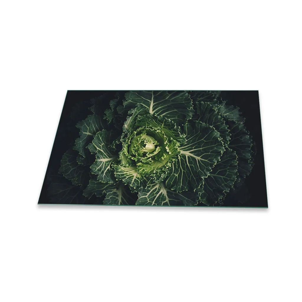 Copertura Piano Cottura Ceramica 80x52 Vetro Food Green | Design Moderno