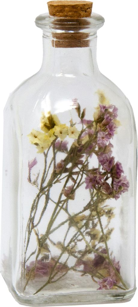 Dekorative Trockenblumen im Mini Flasche Flieder 13 x 6,5 x 6,5 cm