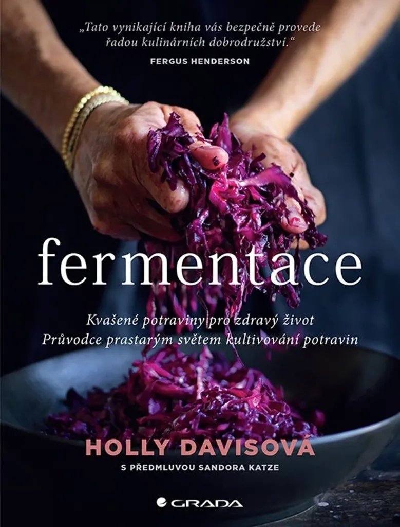 Apprendre la fermentation maison : guide de Holly Davis pour votre santé