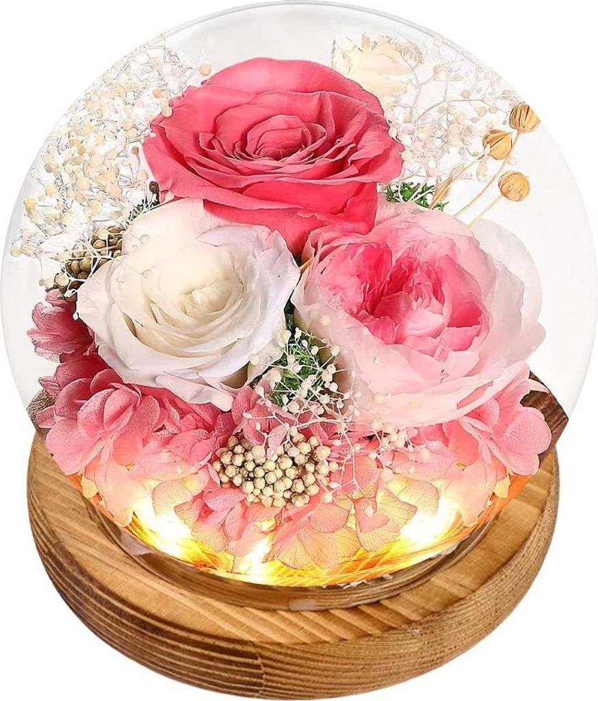 Unvergängliche Rosen in einer Glasglocke mit LED-Beleuchtung, frischer Strauß mit Geschenkbox – das ideale Geschenk für Frauen und Mütter zum...