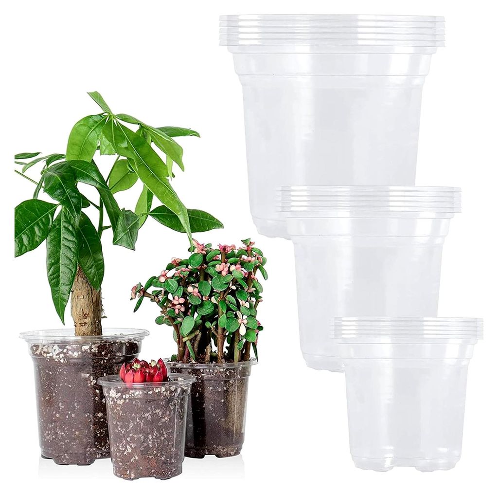 15 Anzuchttöpfe Aus Kunststoff, Transparent Mit Drainagelöchern In 3 Größen (9/10/13 cm) – Geeignet Für Die Vermehrung Von Sukkulenten, Orch...