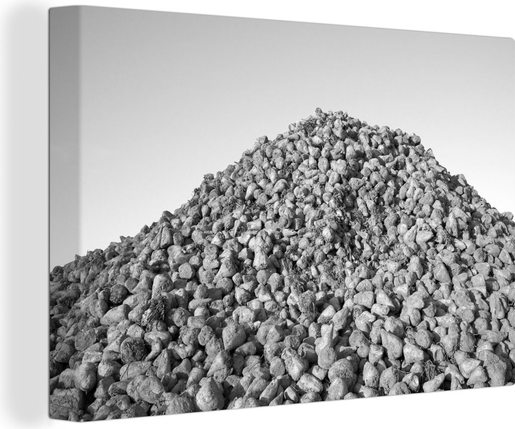 OneMillionCanvasses - Leinwandbilder - 140x90 cm, Ein Haufen Zuckerrüben unter blauem Himmel - schwarz und weiß, Wandbilder Kunstdruck Wanddeko...