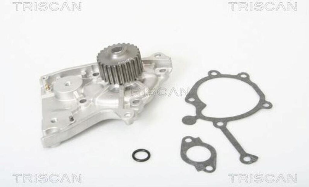 TRISCAN Wasserpumpe 8600 18005