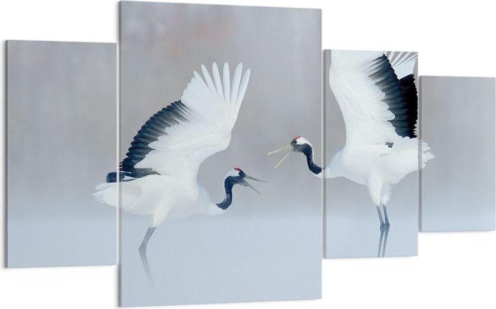Bild auf Leinwand - Leinwandbild - 4 Teile - Kraniche kämpfen tanzen - 160x90cm - Wand Bild - Wanddeko - Wandbilder - Leinwanddruck - Bilder - Wan...