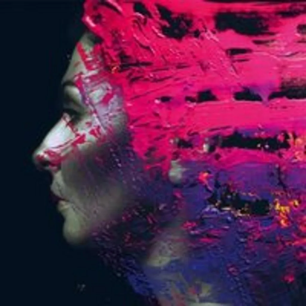 Album CD Hand.Cannot.Erase. Digipak pour les fans de Rock Progressif