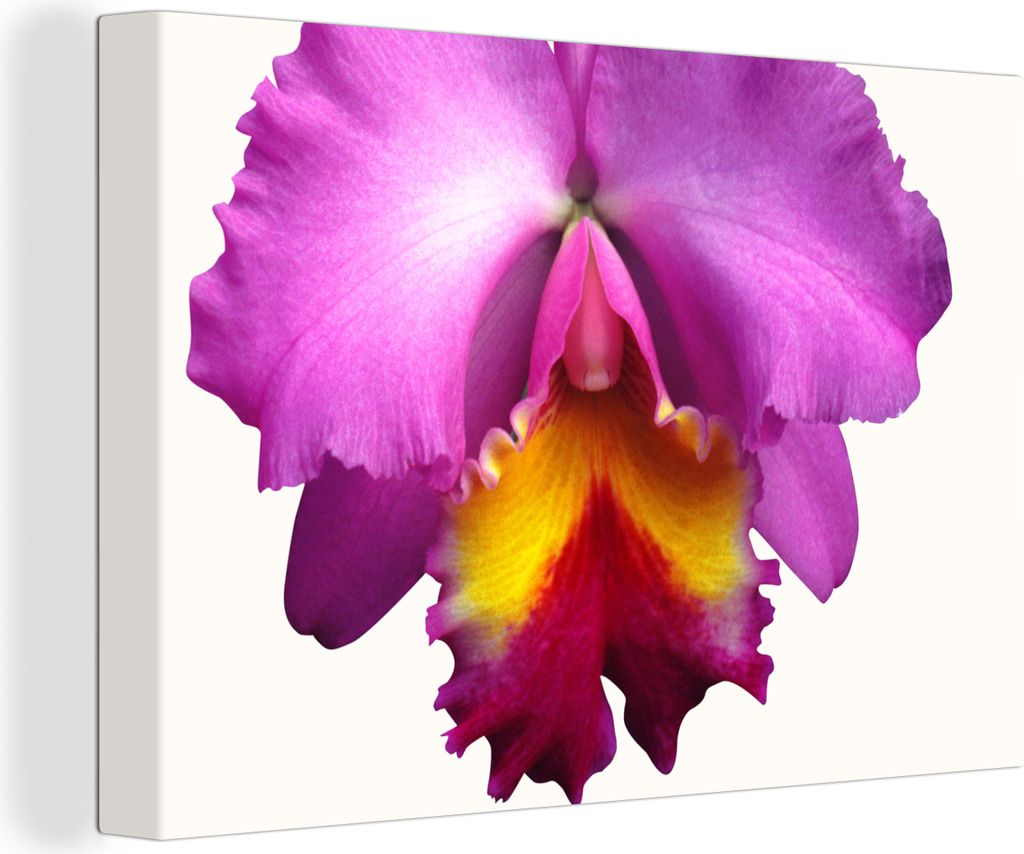 OneMillionCanvasses - Leinwandbilder - 140x90 cm, Nahaufnahme Orchidee, Wandbilder Kunstdruck Wanddekoration - Foto auf Leinwand - Gemälde auf H...