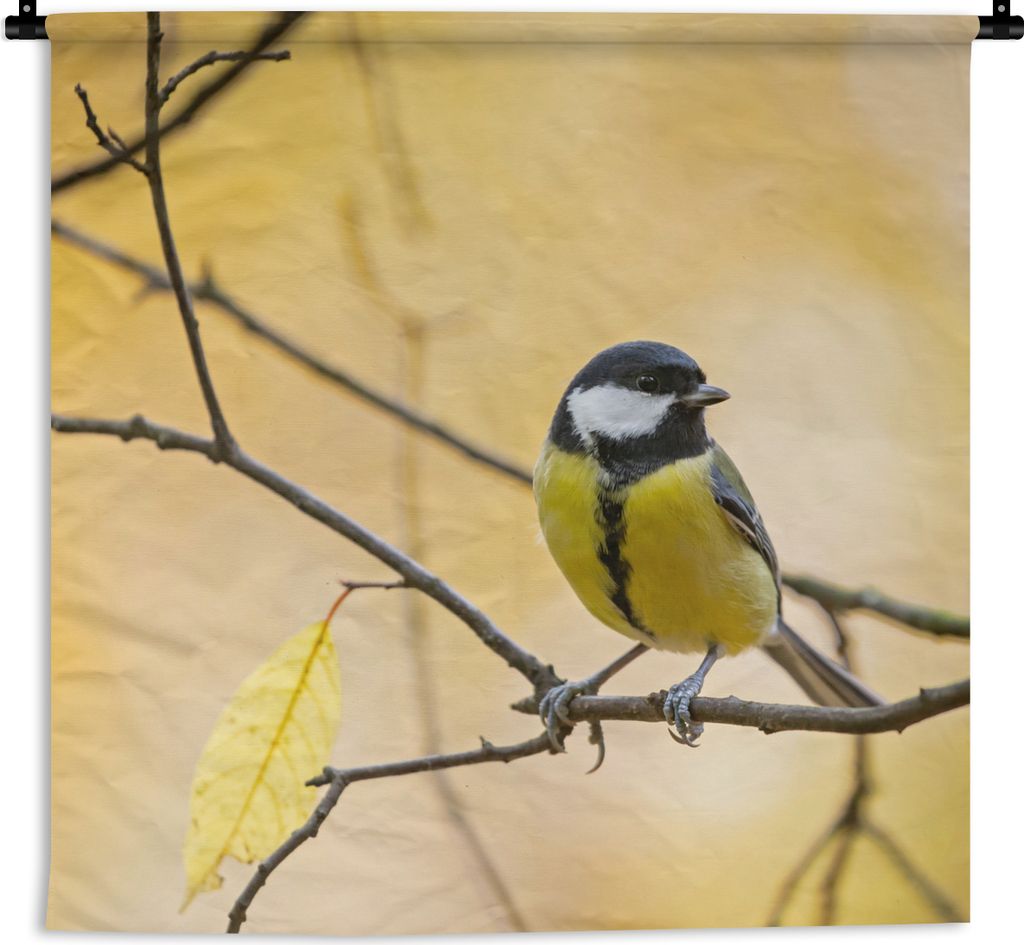 MuchoWow Wandteppich Wandbehang Kohlmeise - Zweig - Vogel - Tiere 150x150 cm Tapisserie Dekoration Wandtuch - Wohnaccessoires - Modernes