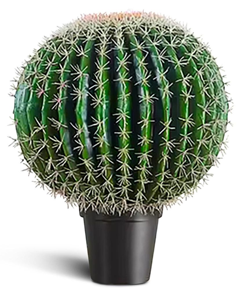 IvoQ Cactus artificiale 55 cm - Realistico e senza Immagine del prodotto 