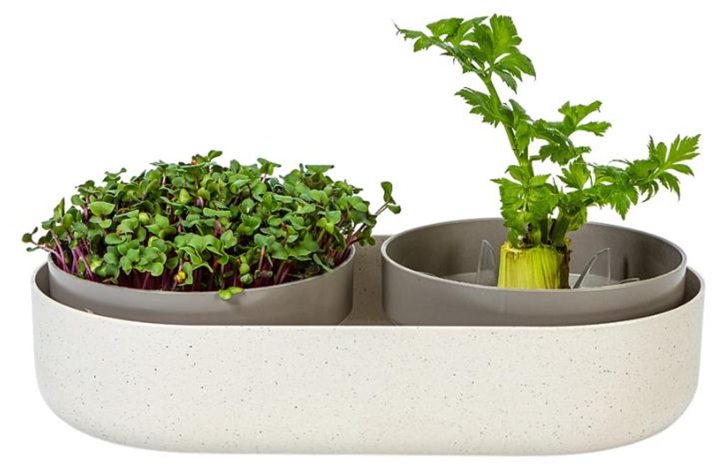 Klíčiaci podnos a výsadbová miska ReGrow | Klíčiace podnosy Obrázok produktu 