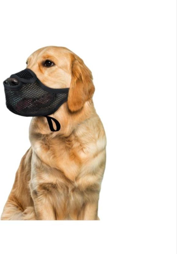 INF Anti-Fress Maulkorb: Atmungsaktives Netzstoff Hunde Maulschutz für Training XL