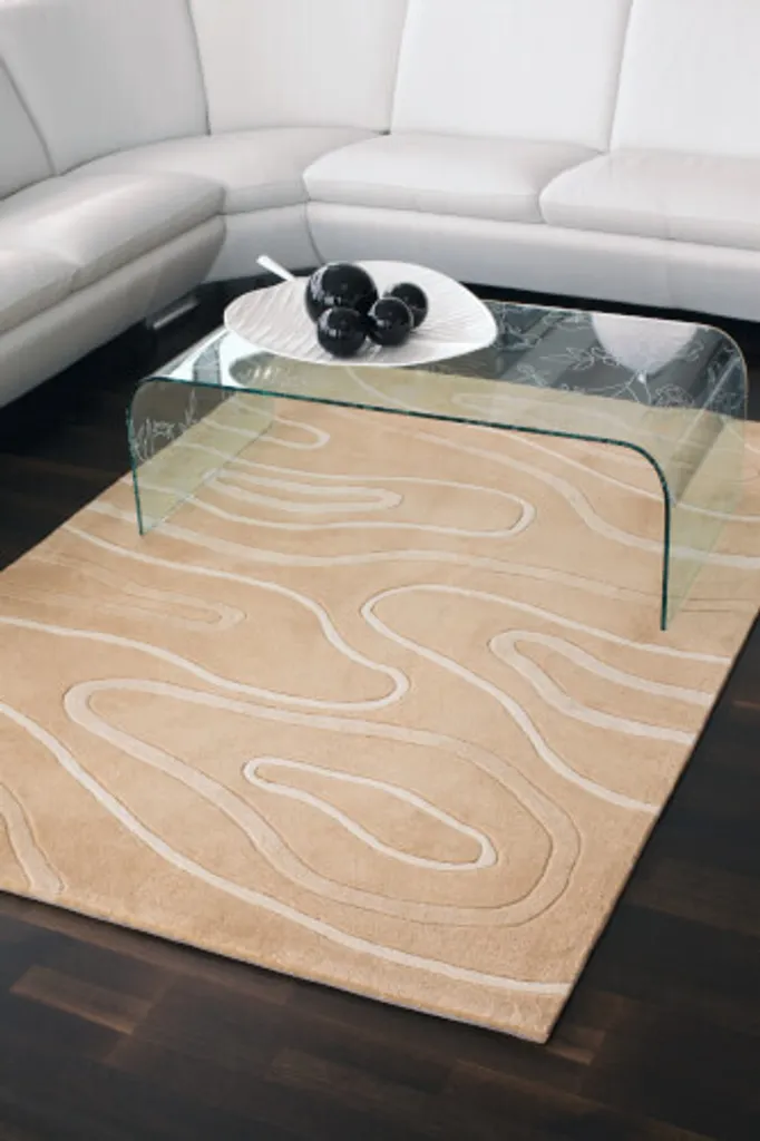 Tapis Phoenix 1011-05 beige 170x240 cm - Élégance moderne pour salon