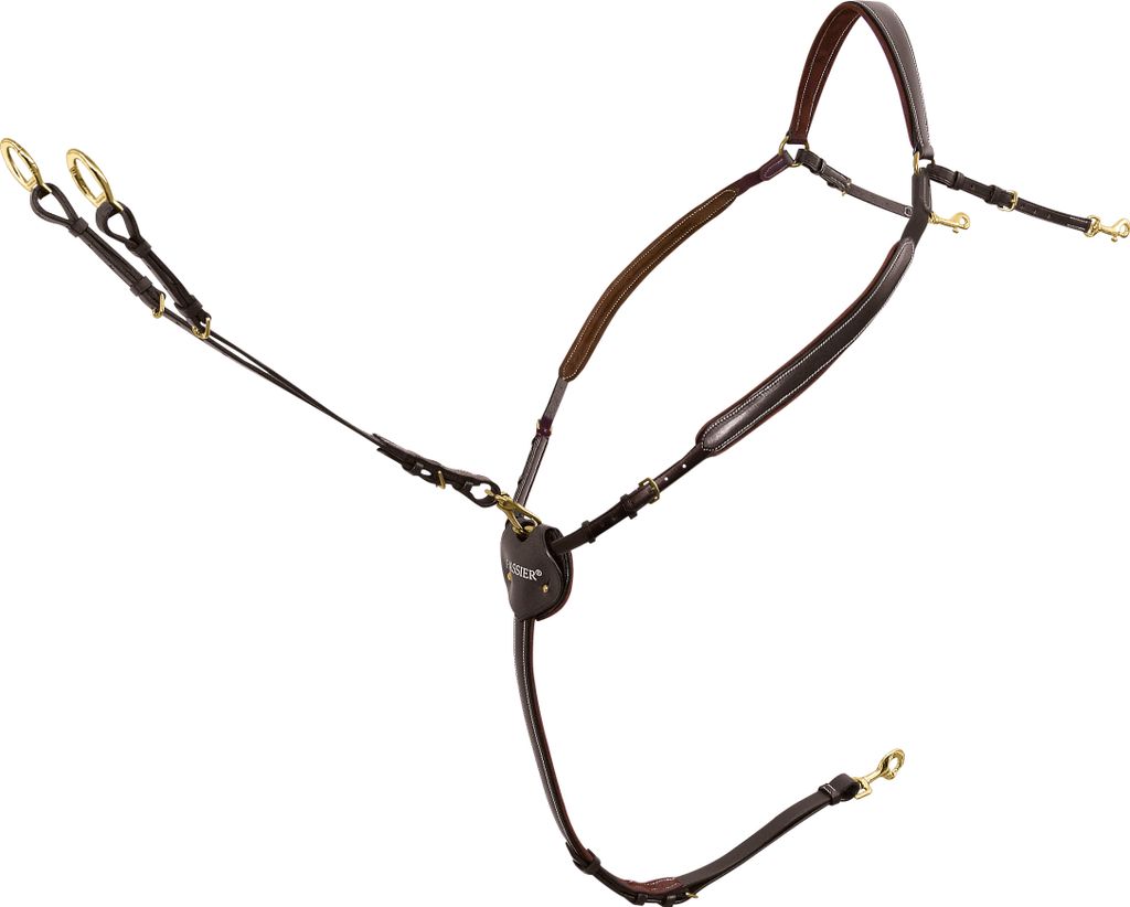 Passier Vorderzeug Marcus Ehning Havanna/Messing Warmblut