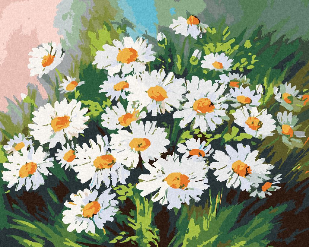 Zuty - Malen nach Zahlen - MARGERITEN IM GRAS, 40x50 cm, mit Keilrahmen (bereits gespannt)