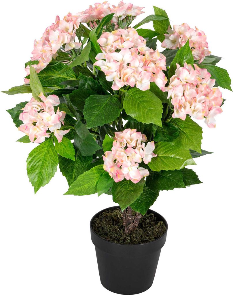 HOMESCAPES Kunstpflanze Pink 'Hortensie' im Topf, 70 cm