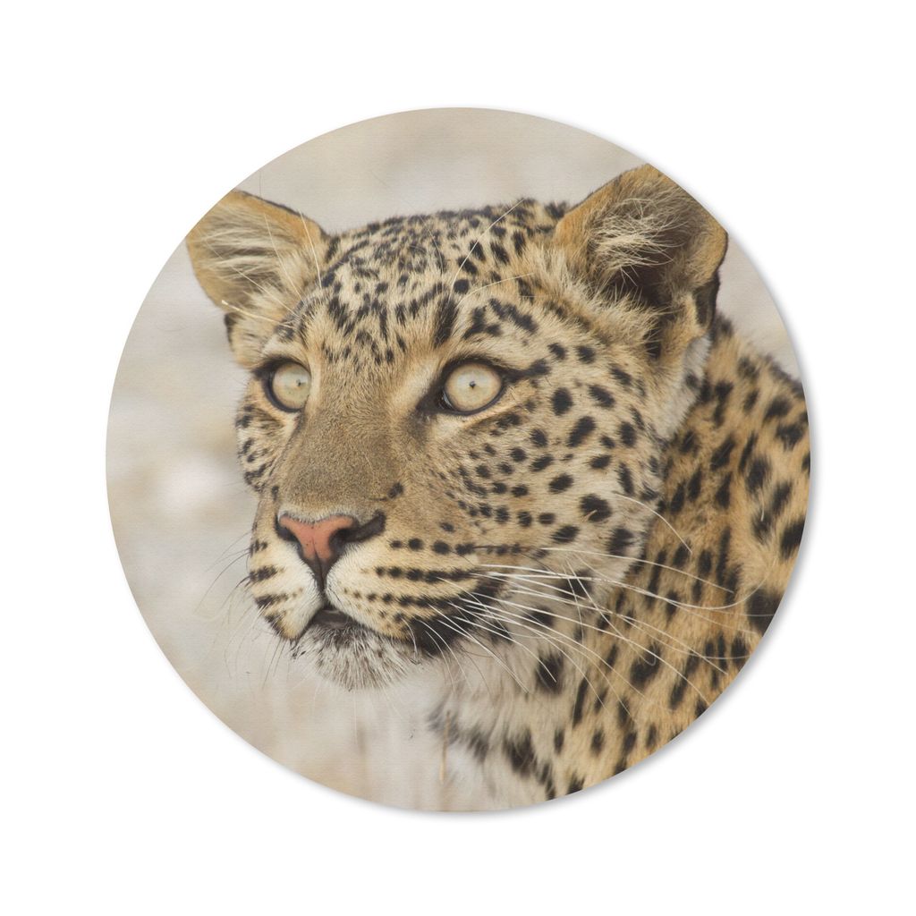 MuchoWow Mauspad Mousepad Leopard - Makro - Braun 30x30 cm - Mousepads - Maus Mat - Pad - Mausunterlage - Tischunterlage - Schreibtischmatten