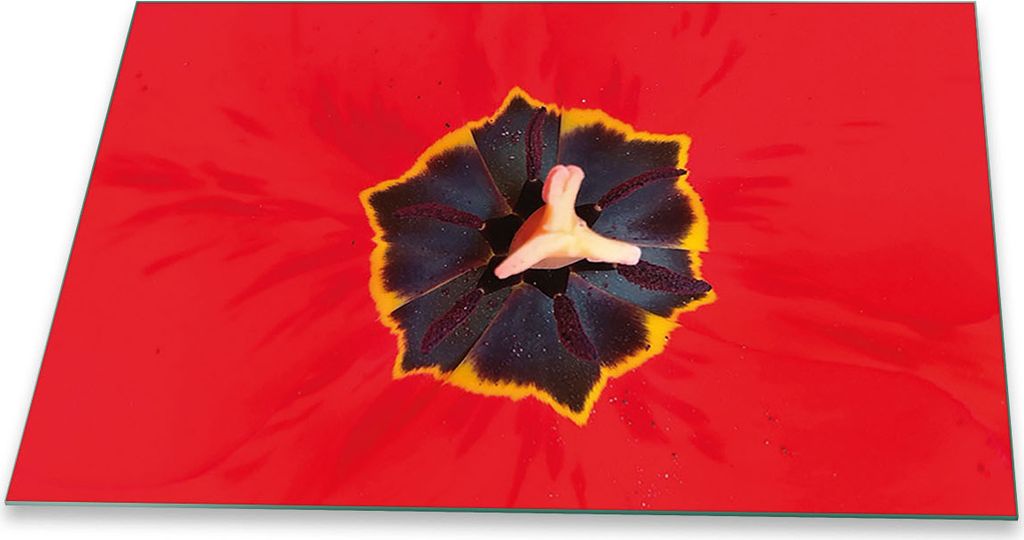 Herdabdeckplatte Glaskeramikkochfeld-Abdeckung Spritzschutz Glas Universal 80x52 Blumen Rot