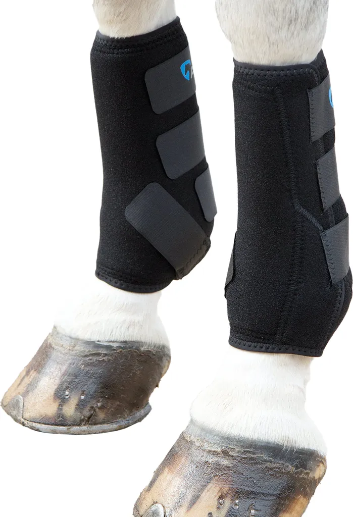 Guêtres de Protection Cheval ARMA Sport ER689 Noires - Équitation Pro